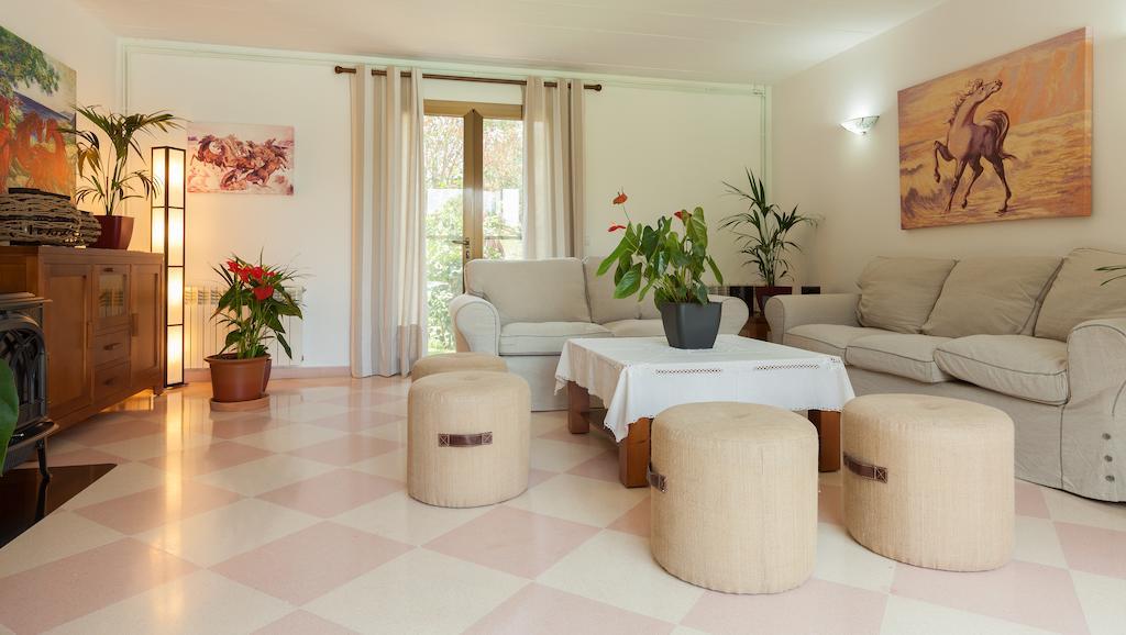 Llamas Villa Pollensa