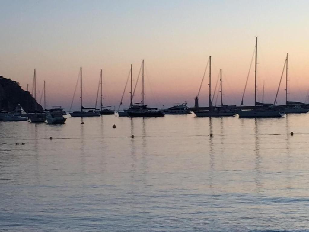 Port D'andratx Beautiful House, Swimming Pool & Jacuzzi 10-22 People *