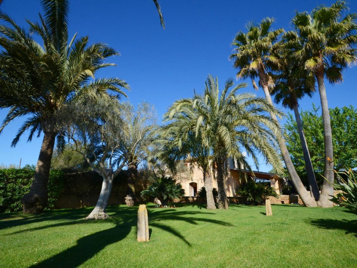 Rovey, Pool And Gardens In Inca (Mallorca)