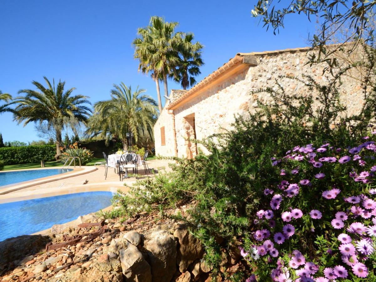 Rovey, Pool And Gardens In Inca (Mallorca)