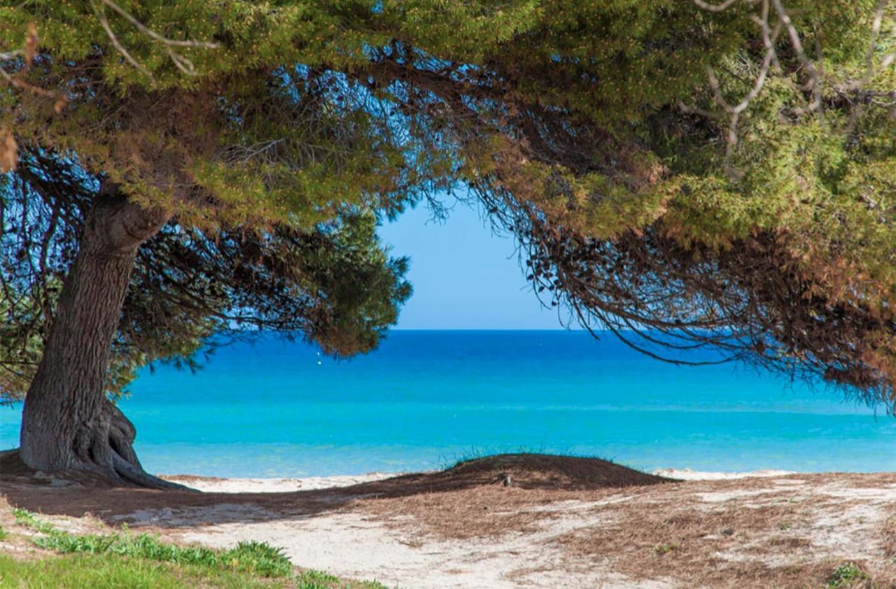 Countess Garden 3-2, Sun Of The Bay 1b, At Apartment Alcudia (Mallorca)