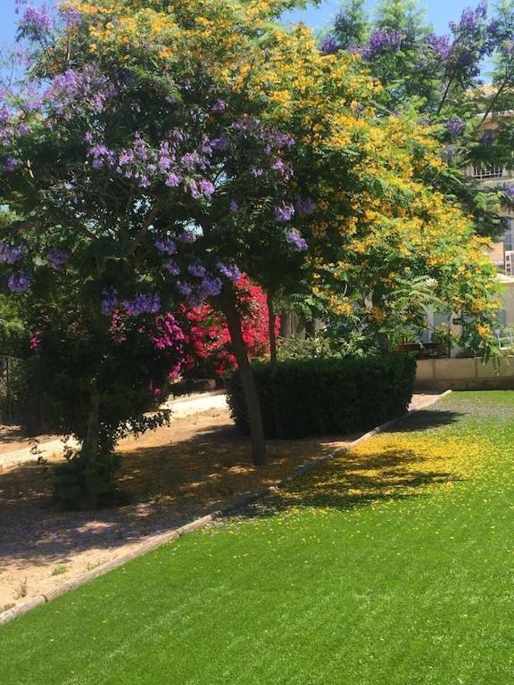 Port D'andratx Beautiful House, Swimming Pool & Jacuzzi 10-22 People * Andratx (Andrach)