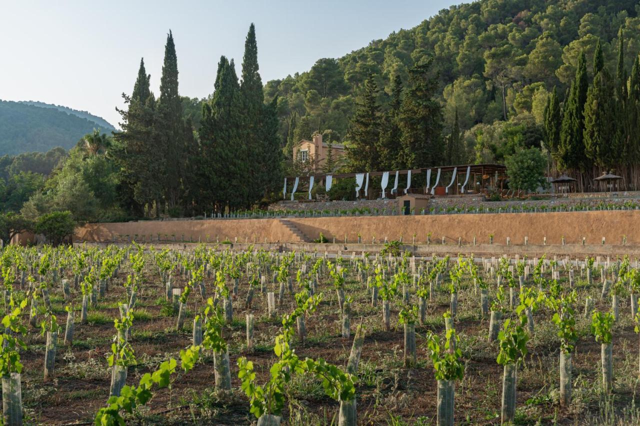 Rondaia Hotel