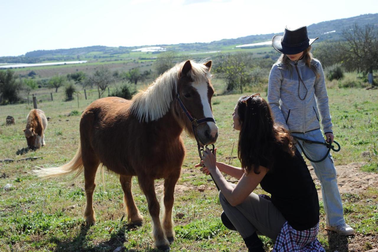 Sa Cova Vella Agroturismo Manacor (Mallorca)