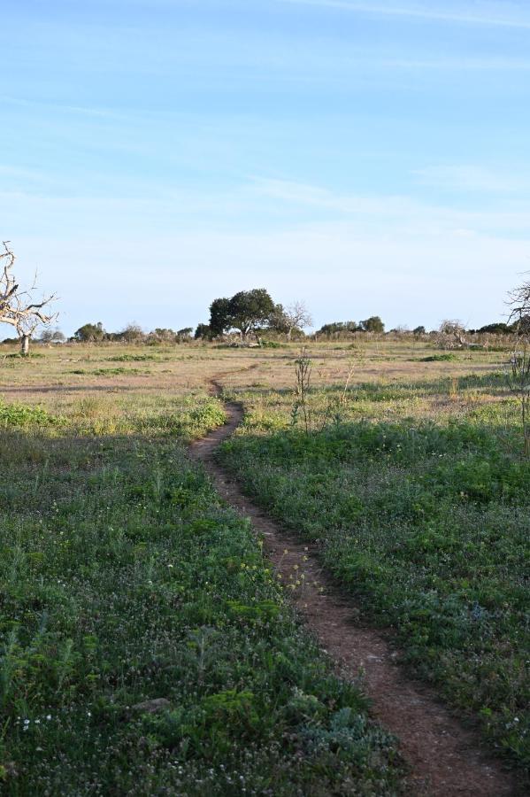 Agroturismo Sa Cova Vella Manacor (Mallorca)