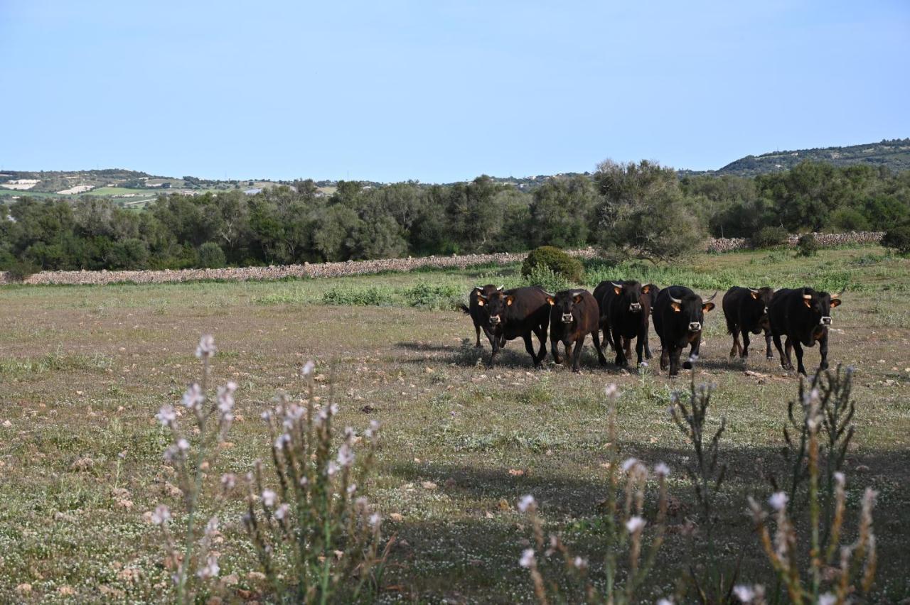 Agroturismo Sa Cova Vella *
