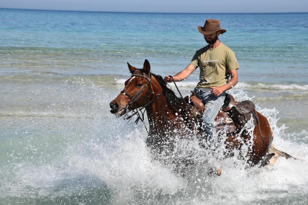 Agroturismo Sa Cova Vella