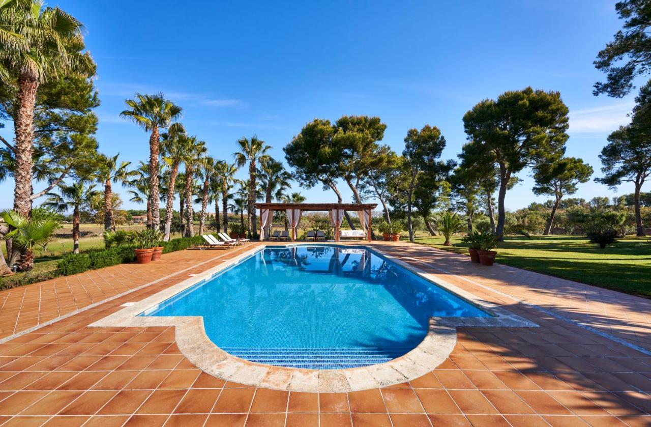 Drimia Villa