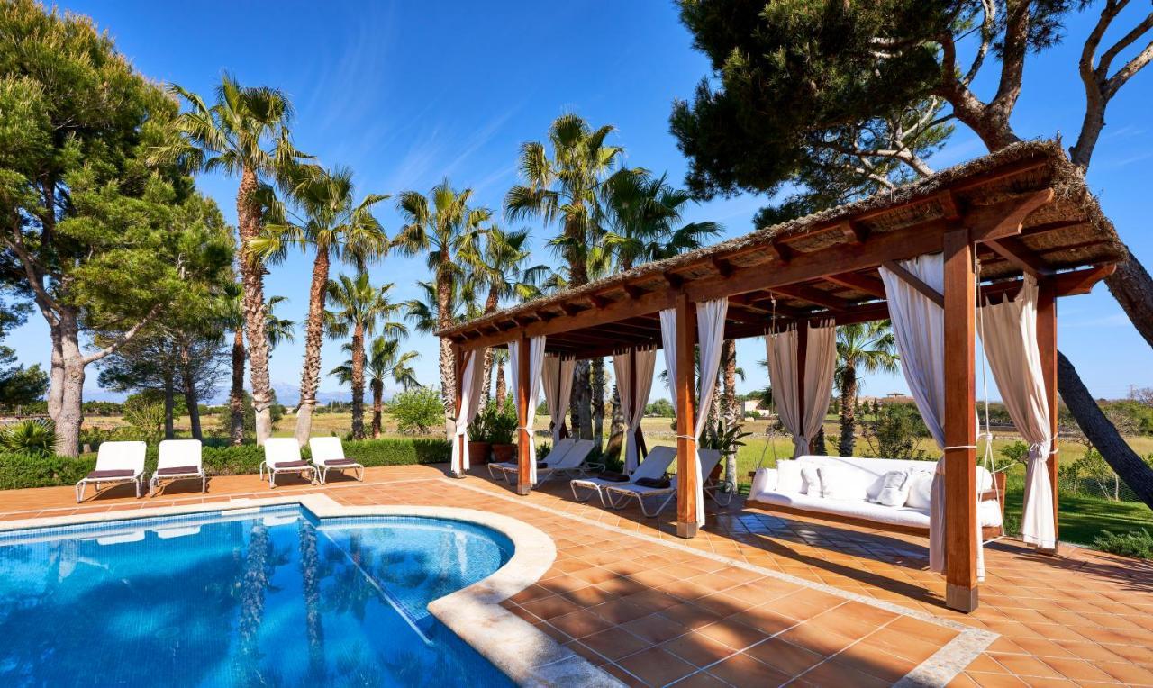 Drimia Can Picafort (Mallorca)
