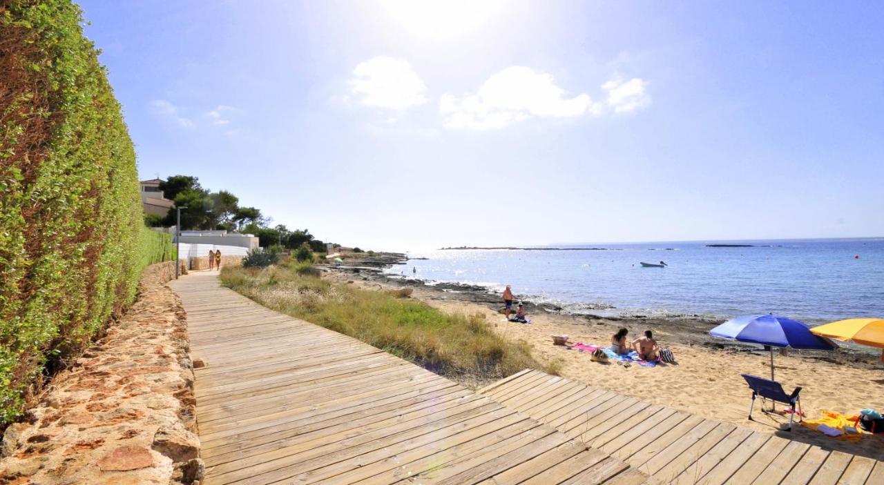 Colonia Sea