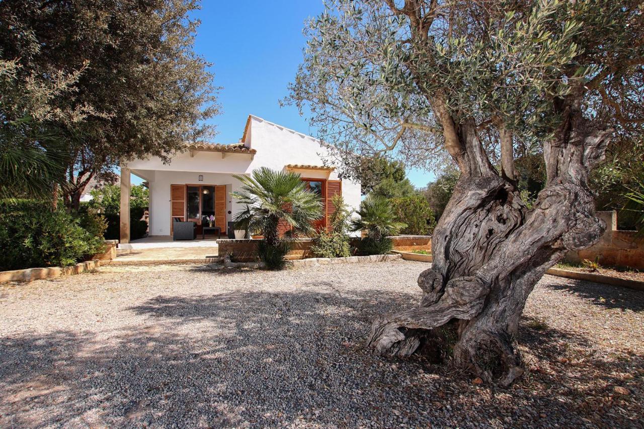 Villa La Vinya Can Oliver - Oliver Pollenca