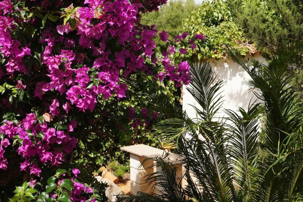 Cala Mendia Holiday home *