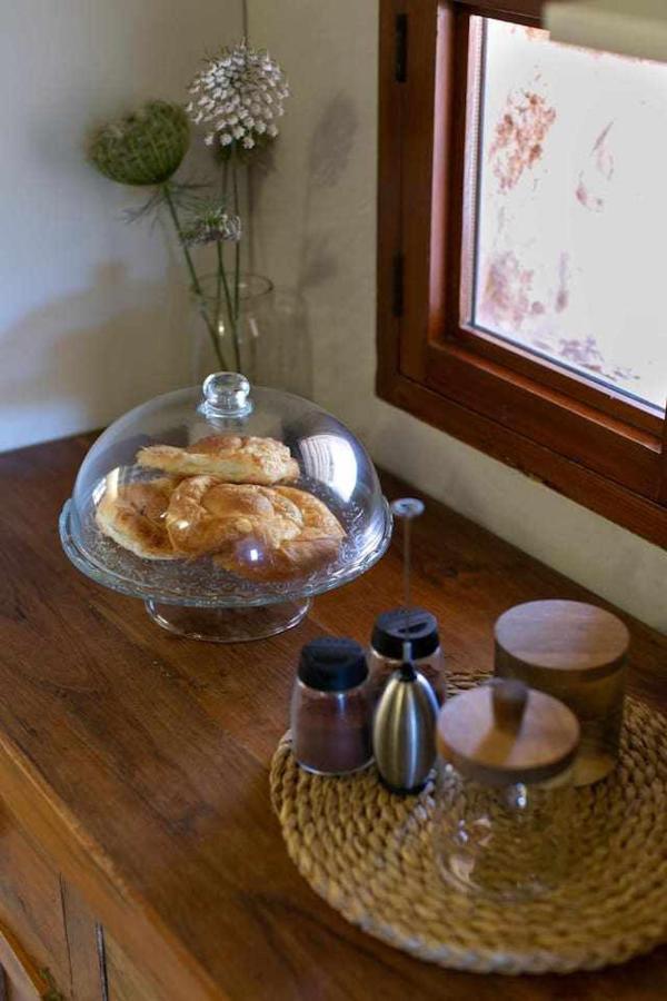 Premier Villa Rental In Mallorca Es Barranc Vell Villa *