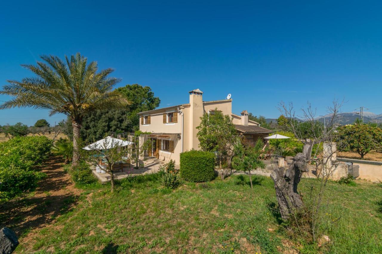 Pilos Chalet