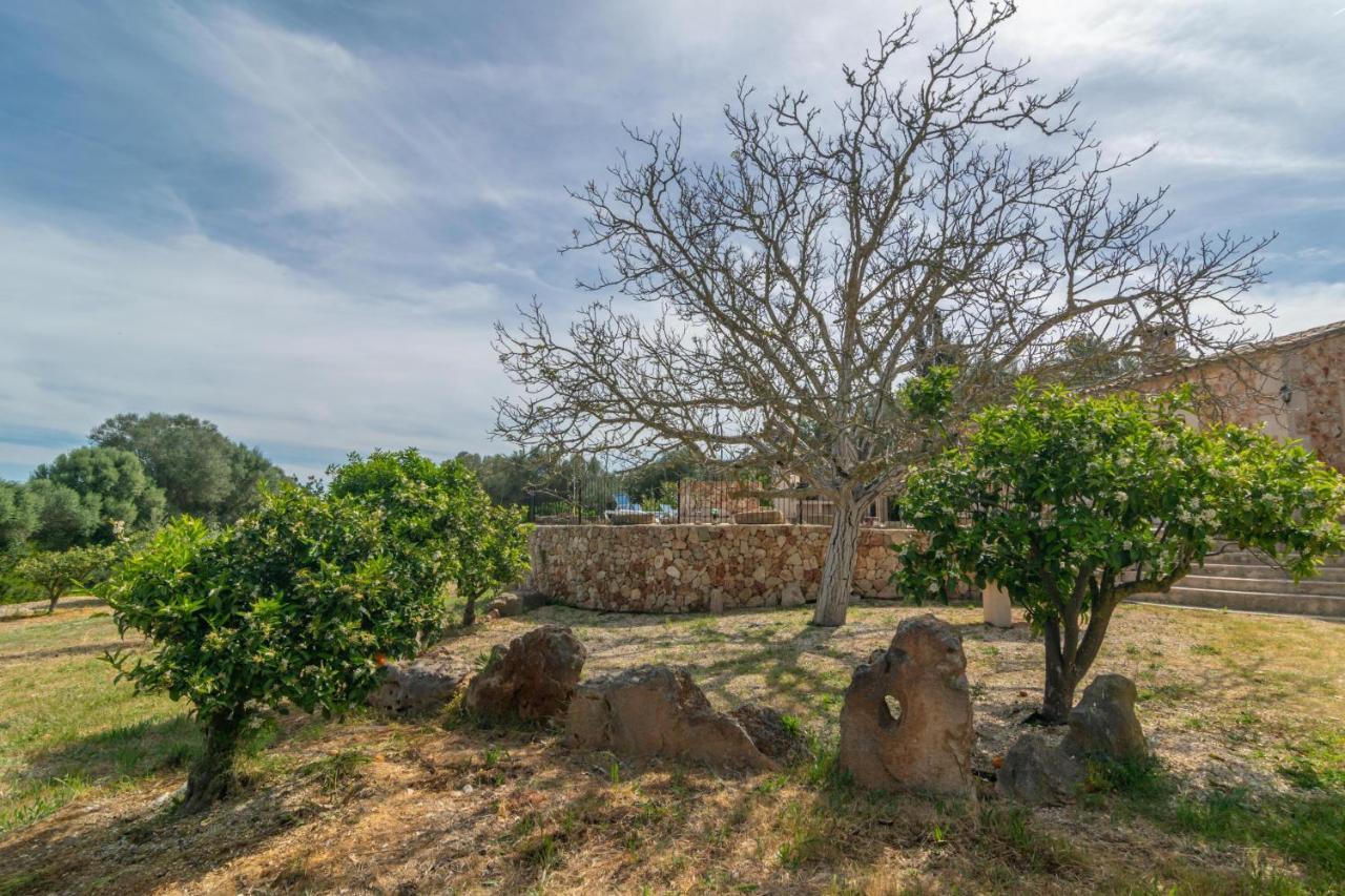 Villa Son Barrigo Porreras