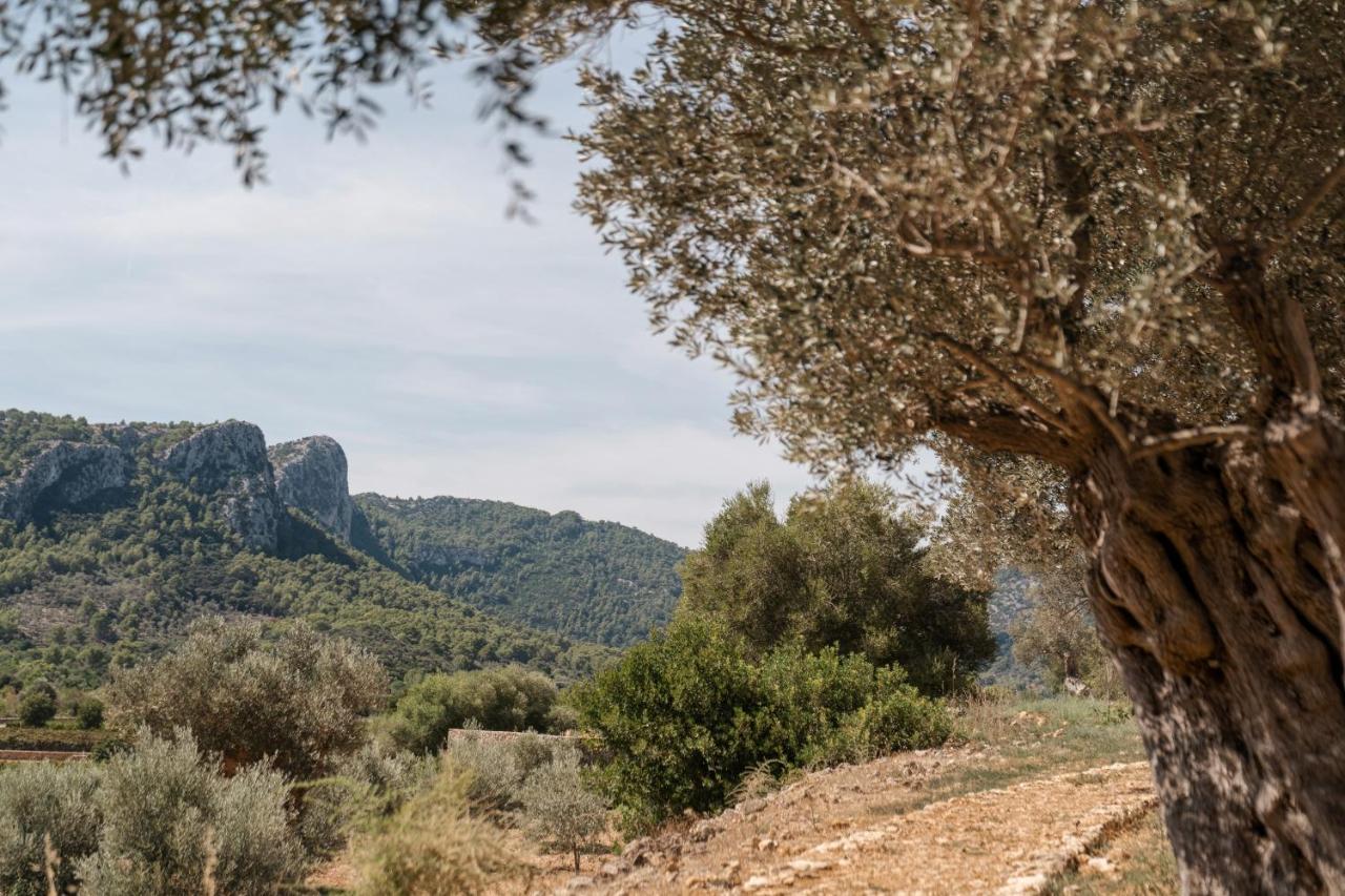 Son Brull & Hotel Pollensa