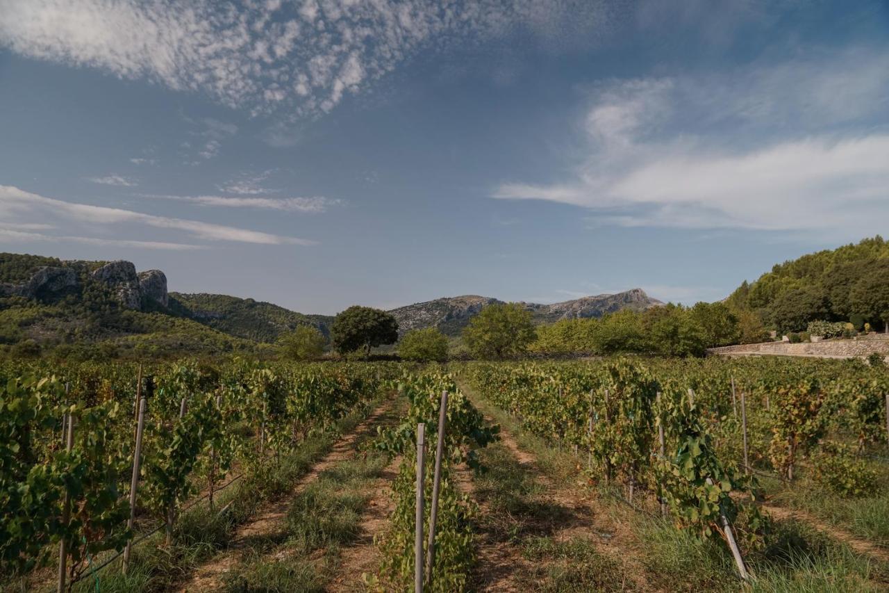 Son Brull & 5* Pollensa