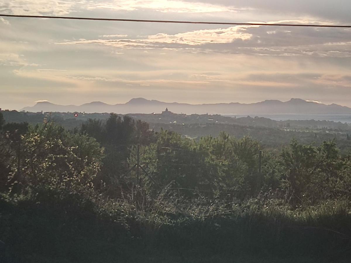 Subies Agroturismo Selva (Mallorca)