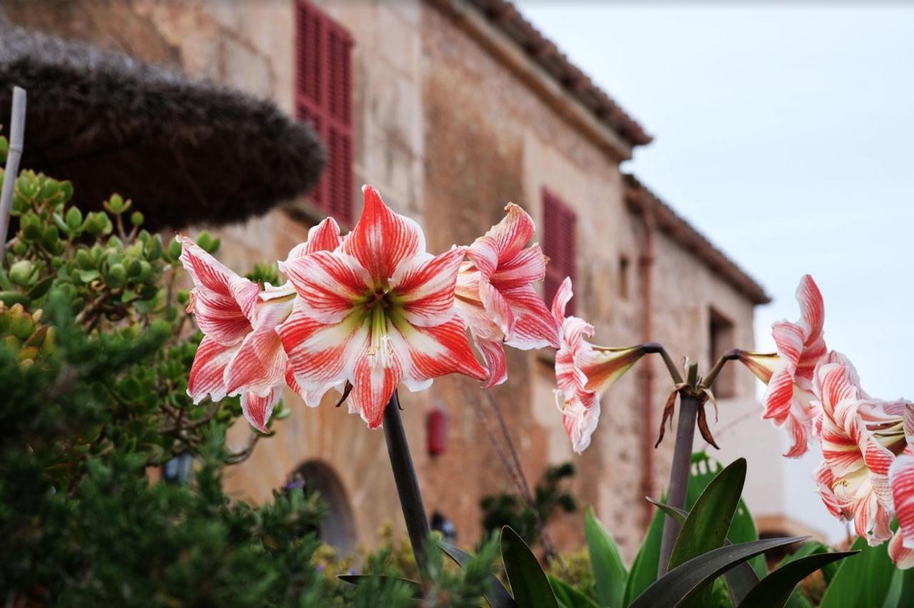 Ses Cases Noves Agroturismo *