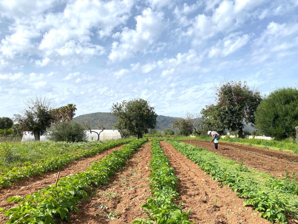 Agroturismo Ses Cases Noves Sant Llorenc Des Cardassar