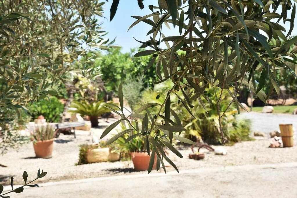Villa Trobat Gran Mallorquina Con Piscina