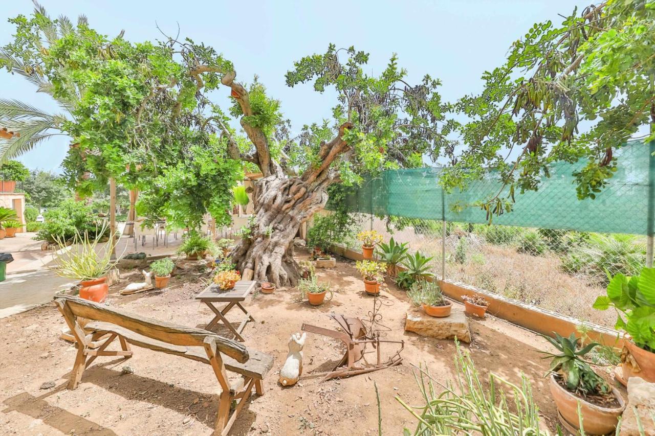 Trobat Gran Mallorquina Con Piscina Villa