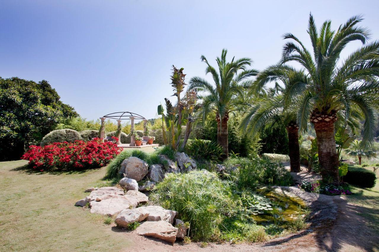 Ona Palmira Paradise Paguera 4*