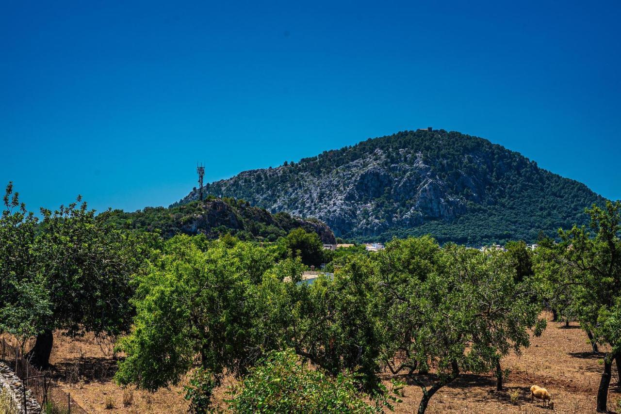 Angels Pollensa