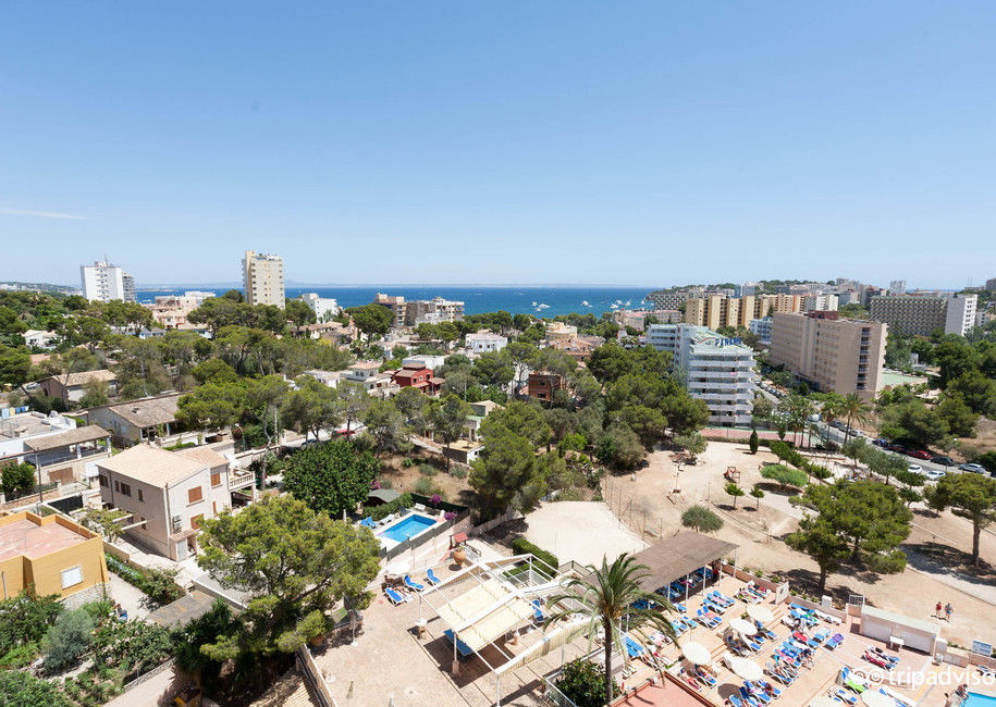 Globales Mimosa 4* Palmanova