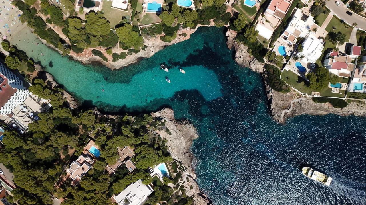 Calimera Fido Gardens