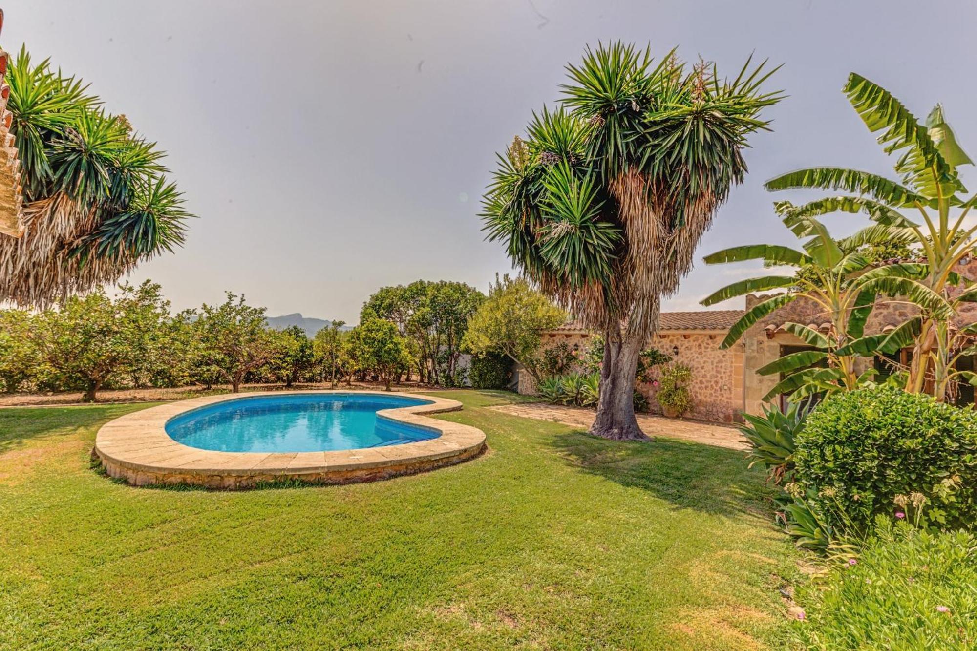 Salas Villa Pollensa