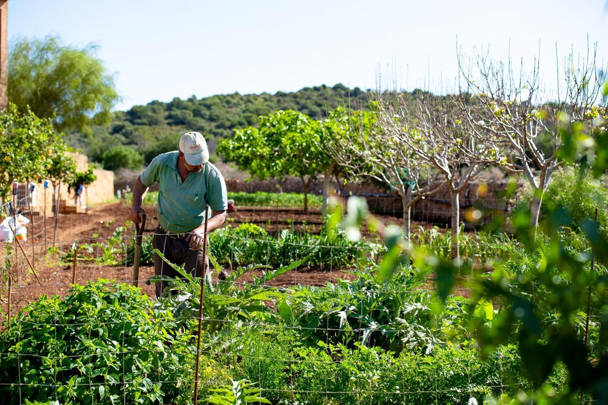 Sos Ferres D'en Morey Casa rural *
