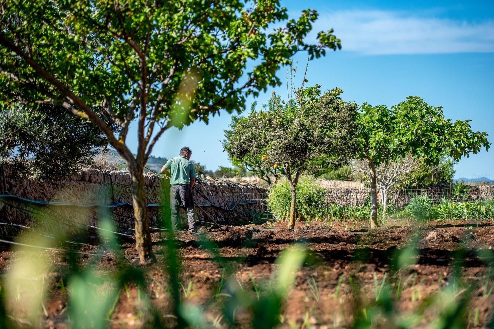 Casa rural Sos Ferres D'en Morey Manacor (Mallorca)