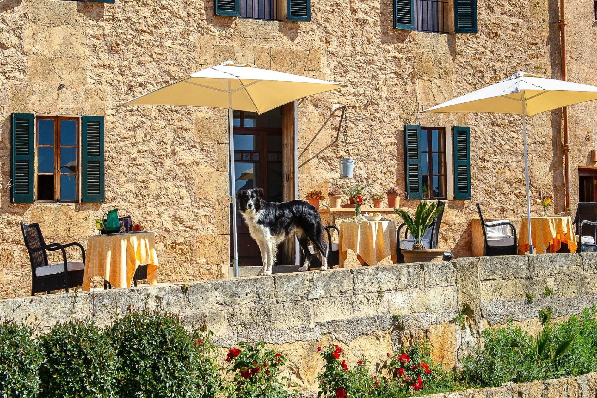 Casa rural Sos Ferres D'en Morey