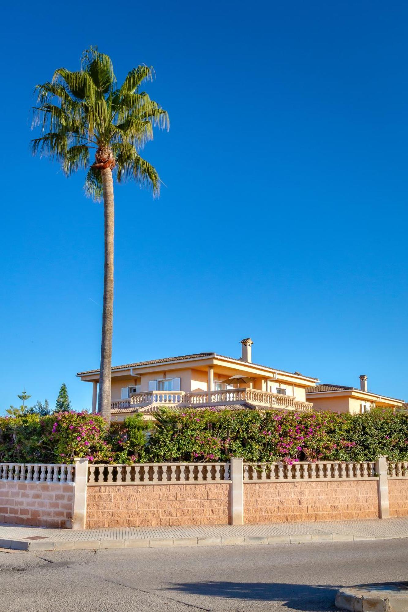 Palmera Villa Palma de Mallorca