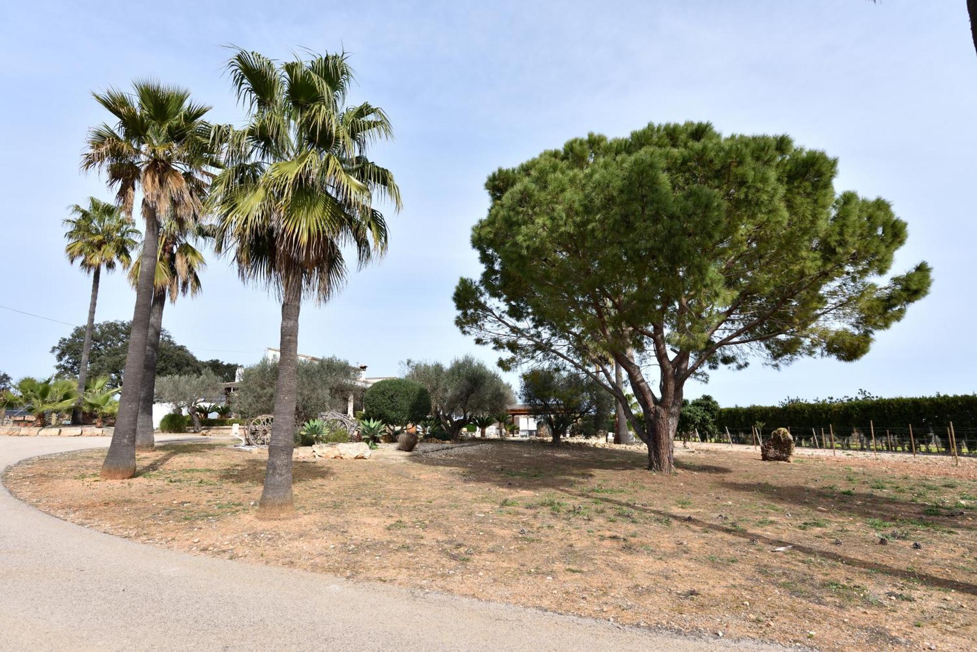Sa De Jaume Villa *