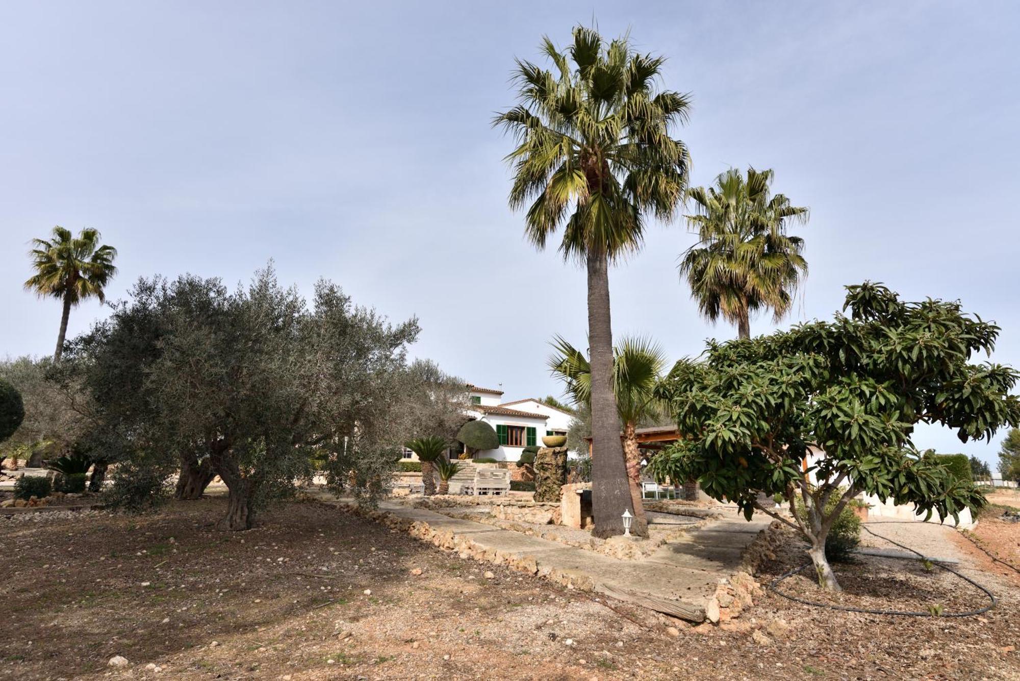Sa De Jaume