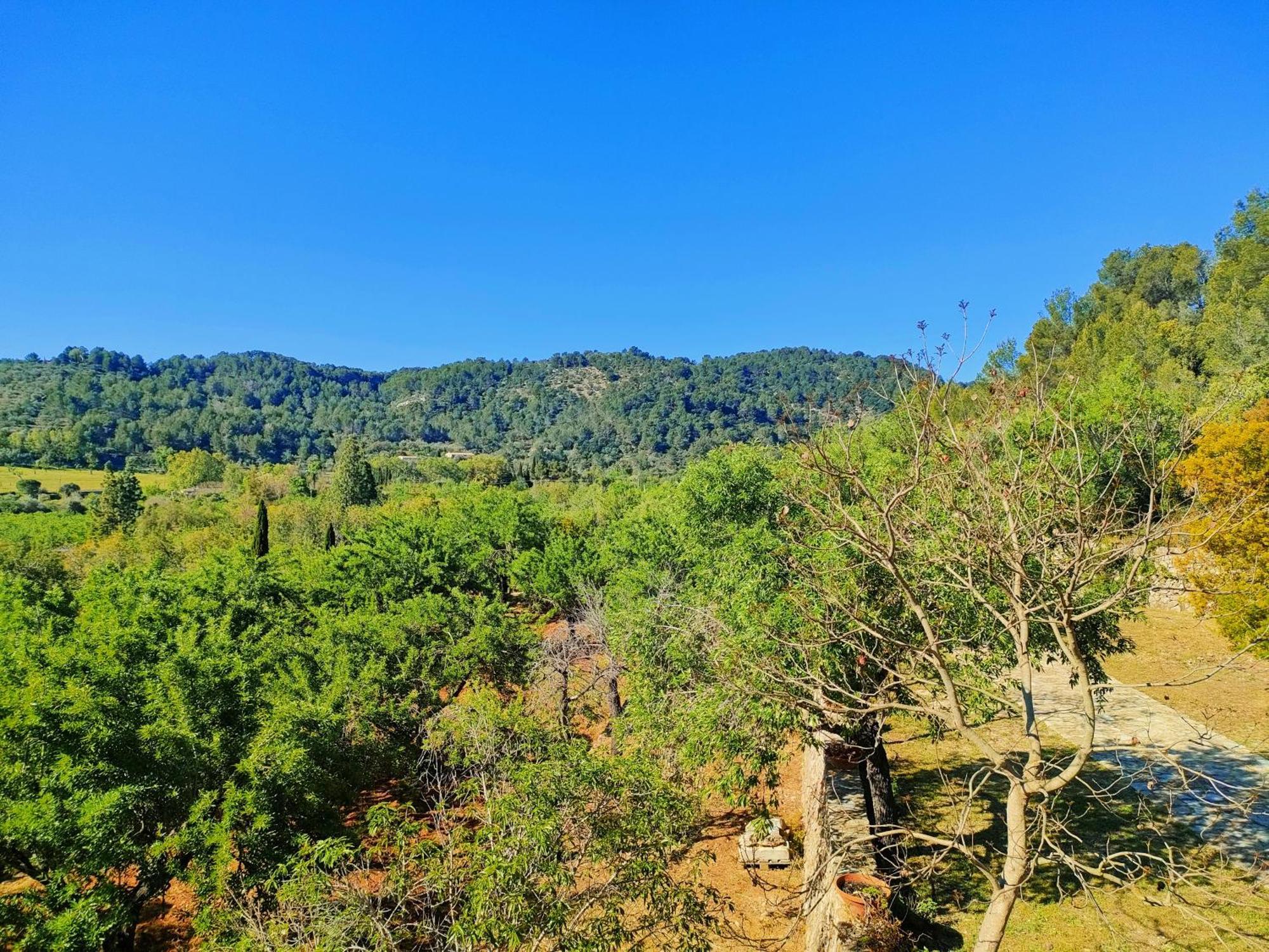 Villa Ca Nostra Mallorca En *