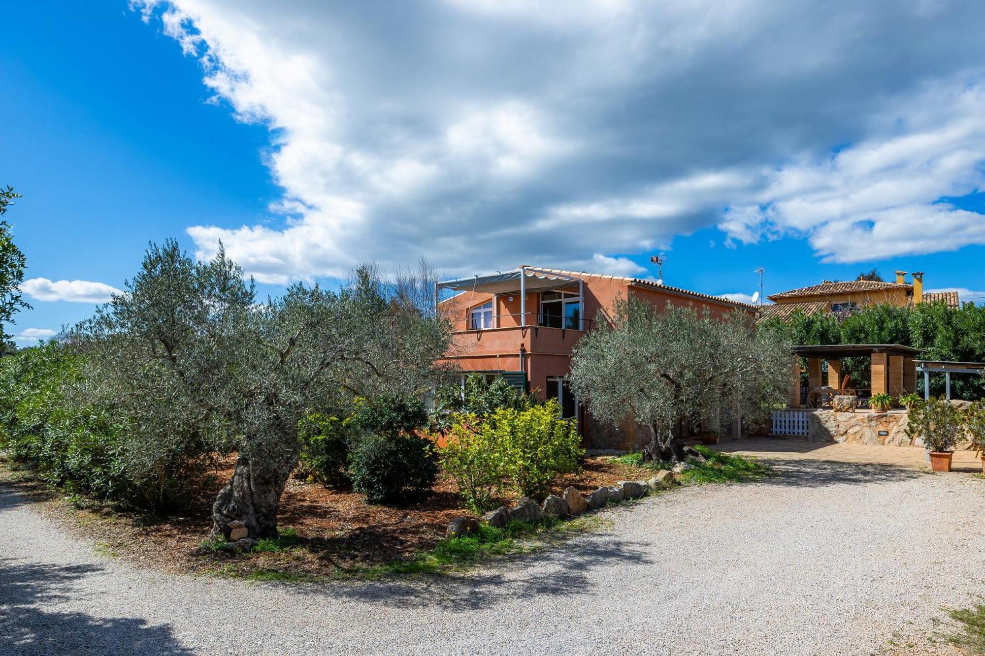 Villa Ses Oliveres En Port Verd