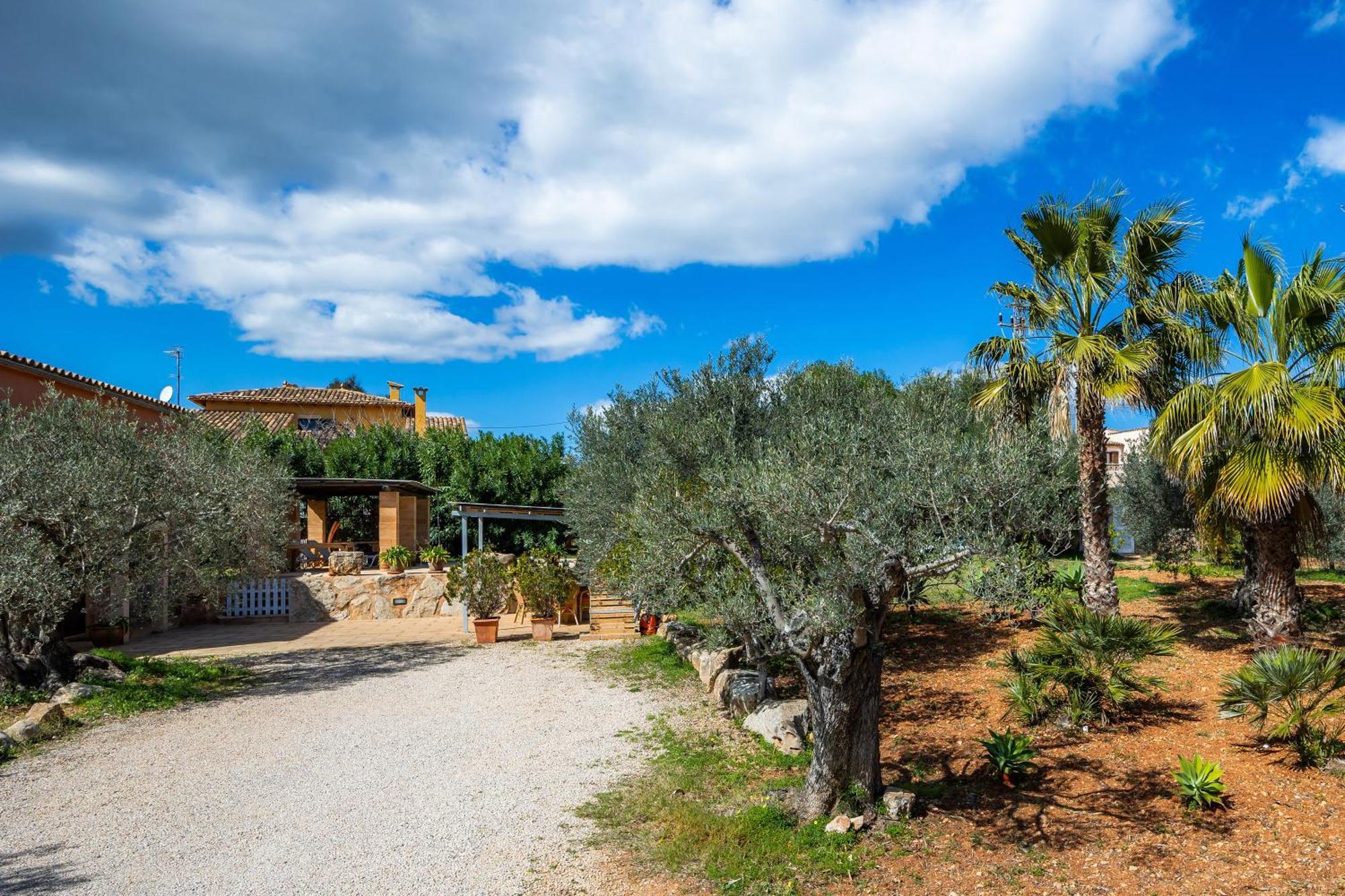 Ses Oliveres En Port Verd Villa