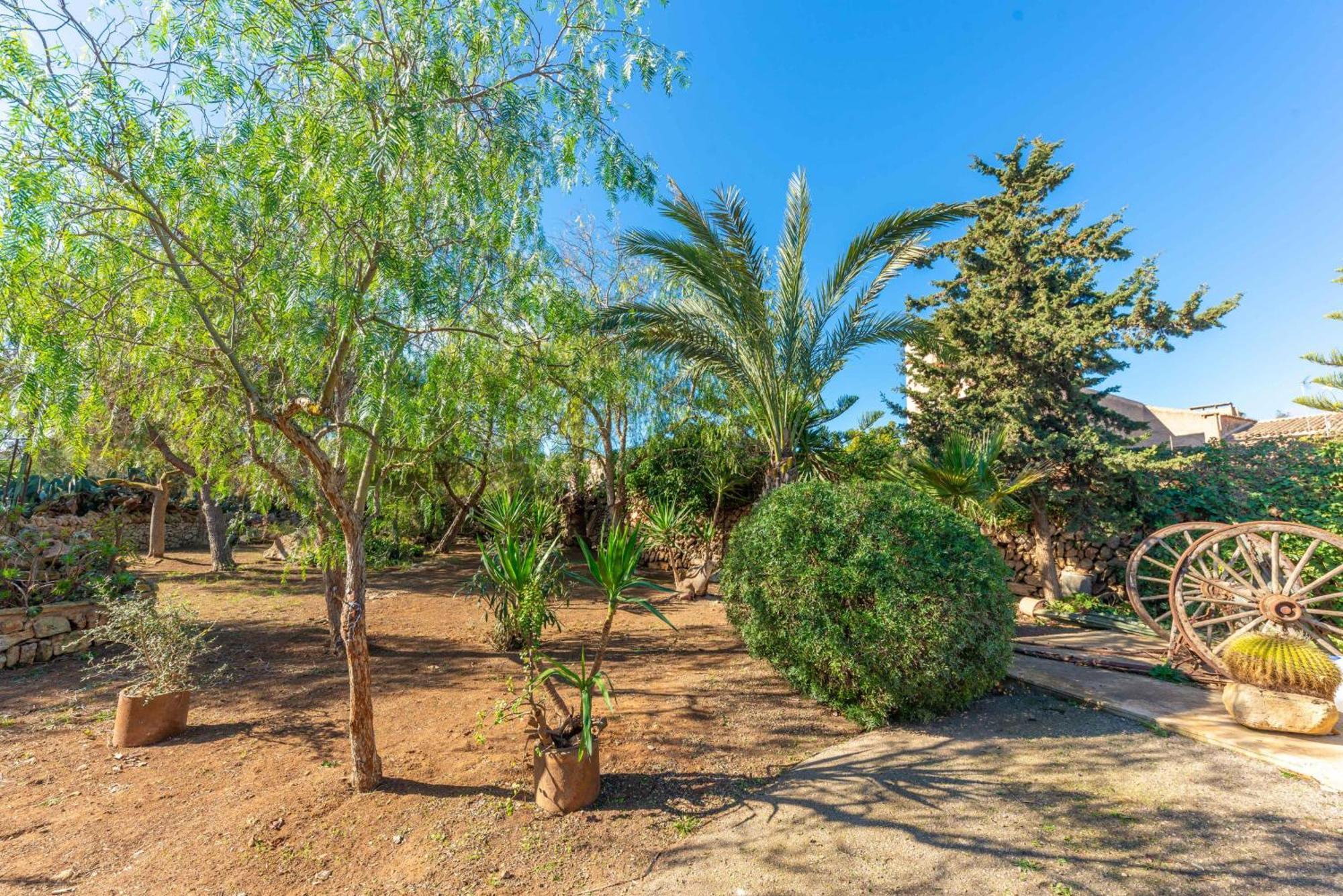 Villa S'alqueria Rotja *