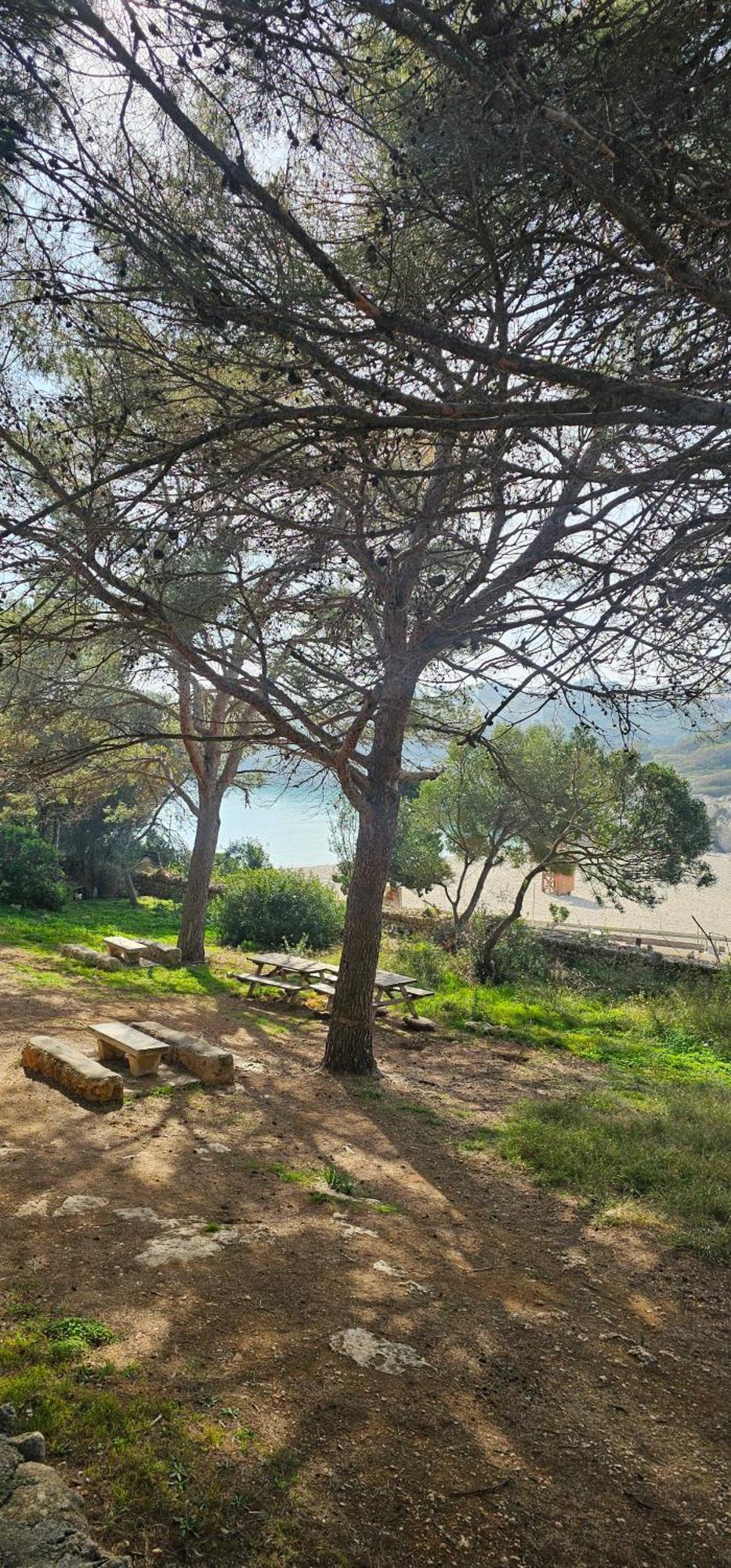 Casa Domingos Apartment Calas de Mallorca