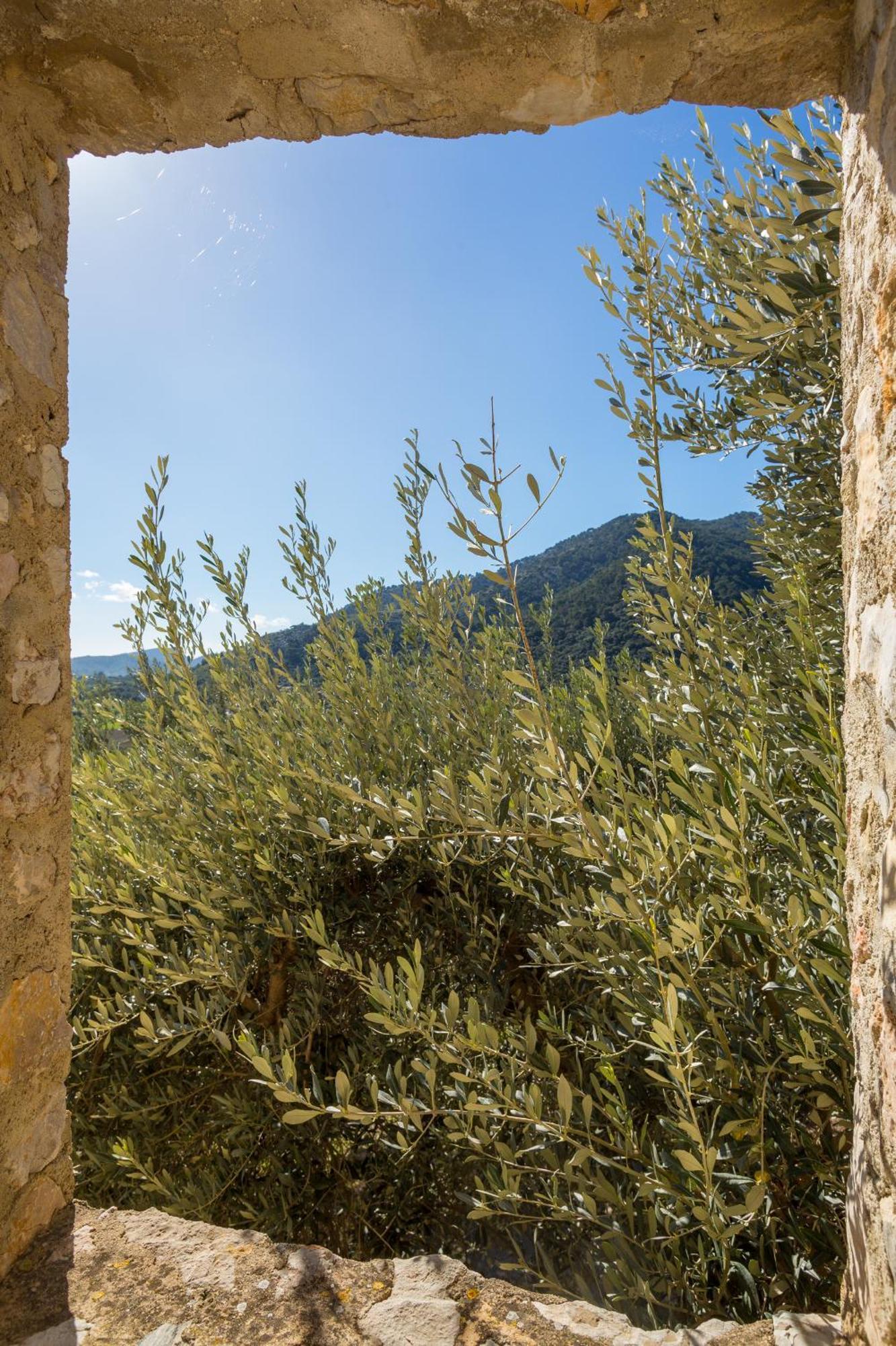 Es Castell