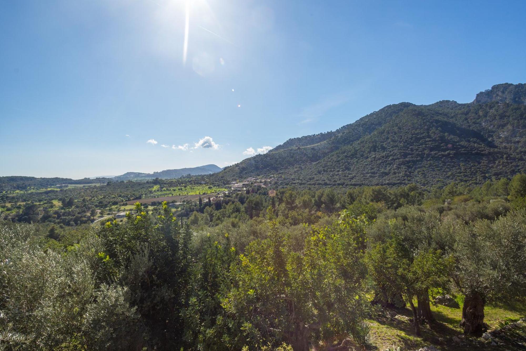 Hotel Es Castell 4*
