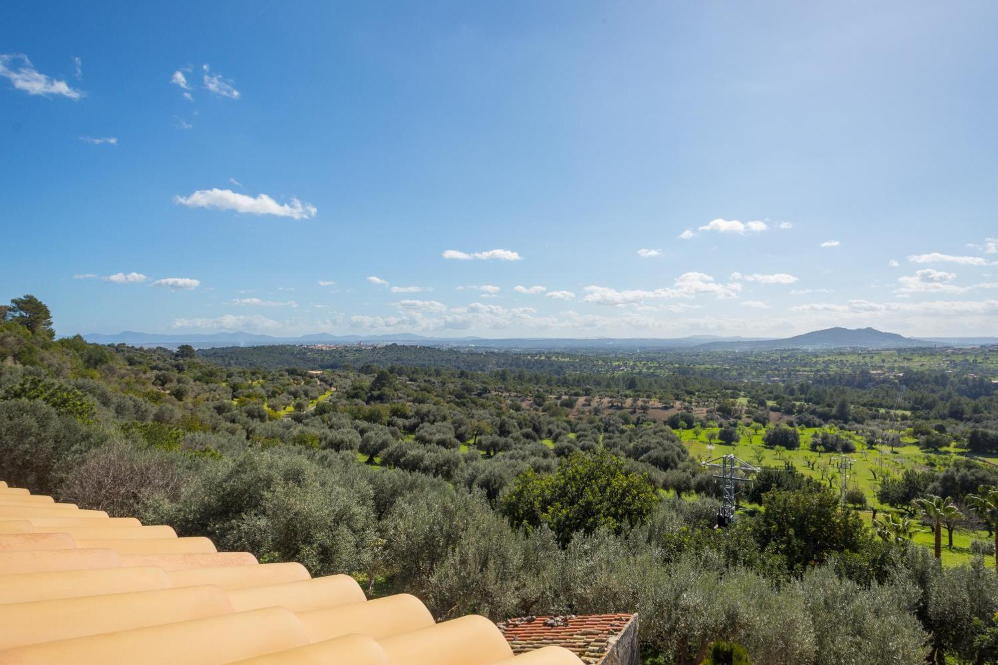 Es Castell Binibona