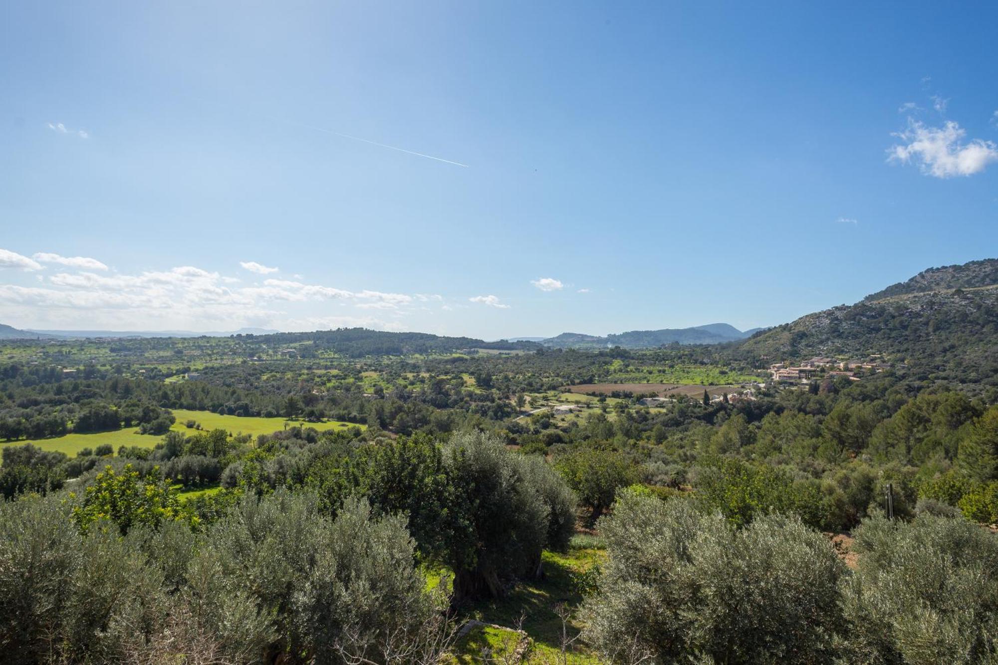 Es Castell Binibona