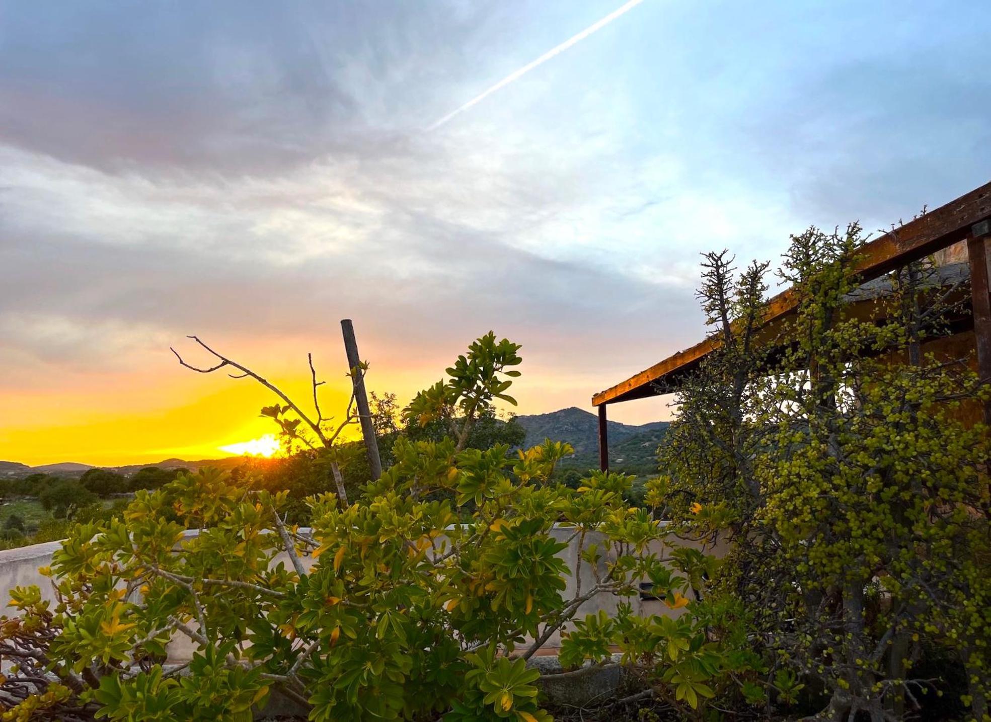 Agroturismo Ses Cases Noves Sant Llorenc Des Cardassar