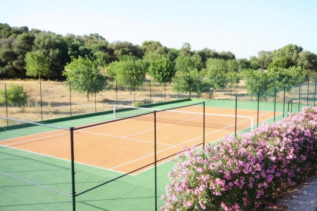 Son Perxa In Petra (Mallorca)
