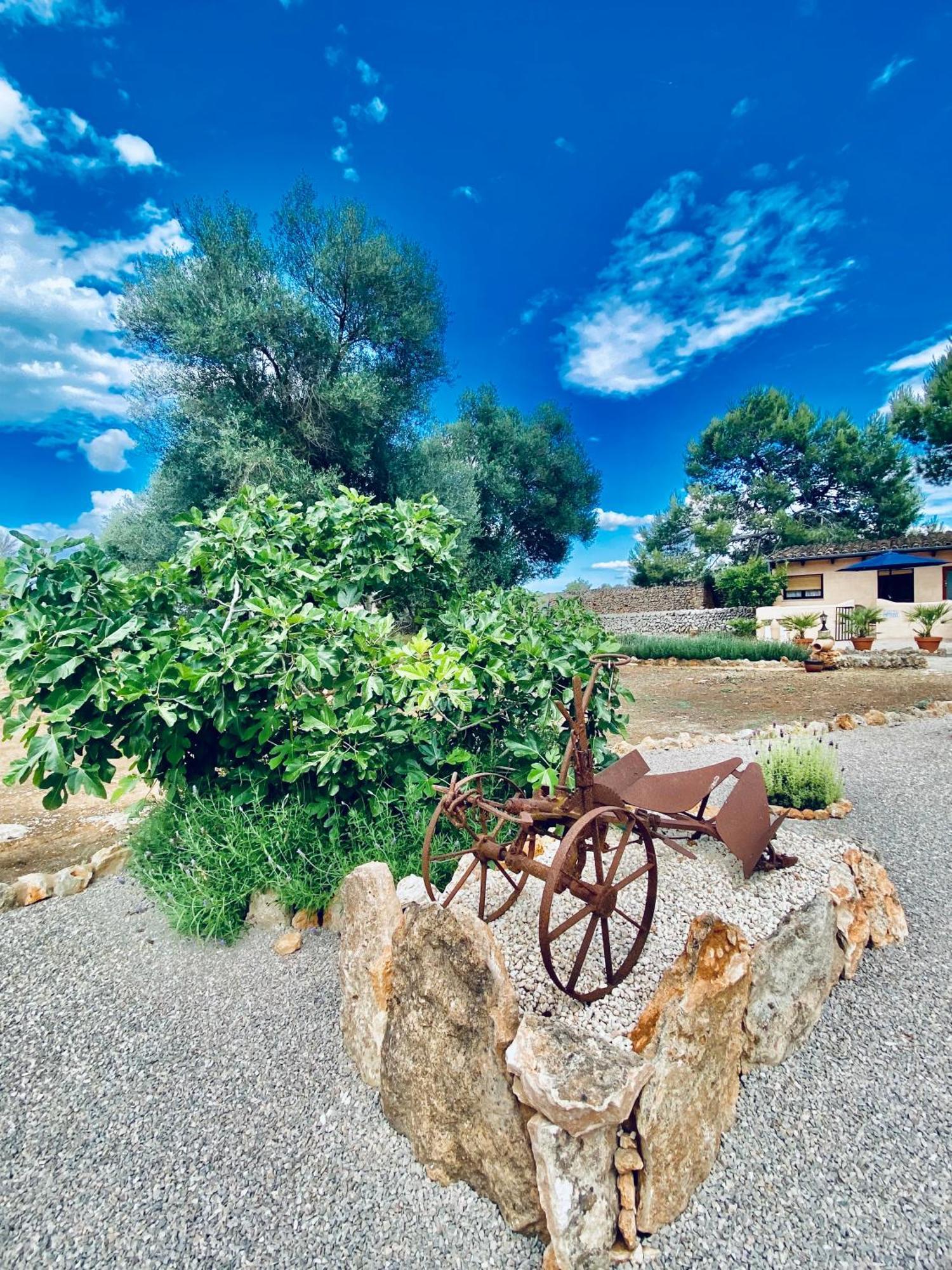 Sa Canova Campos (Mallorca)