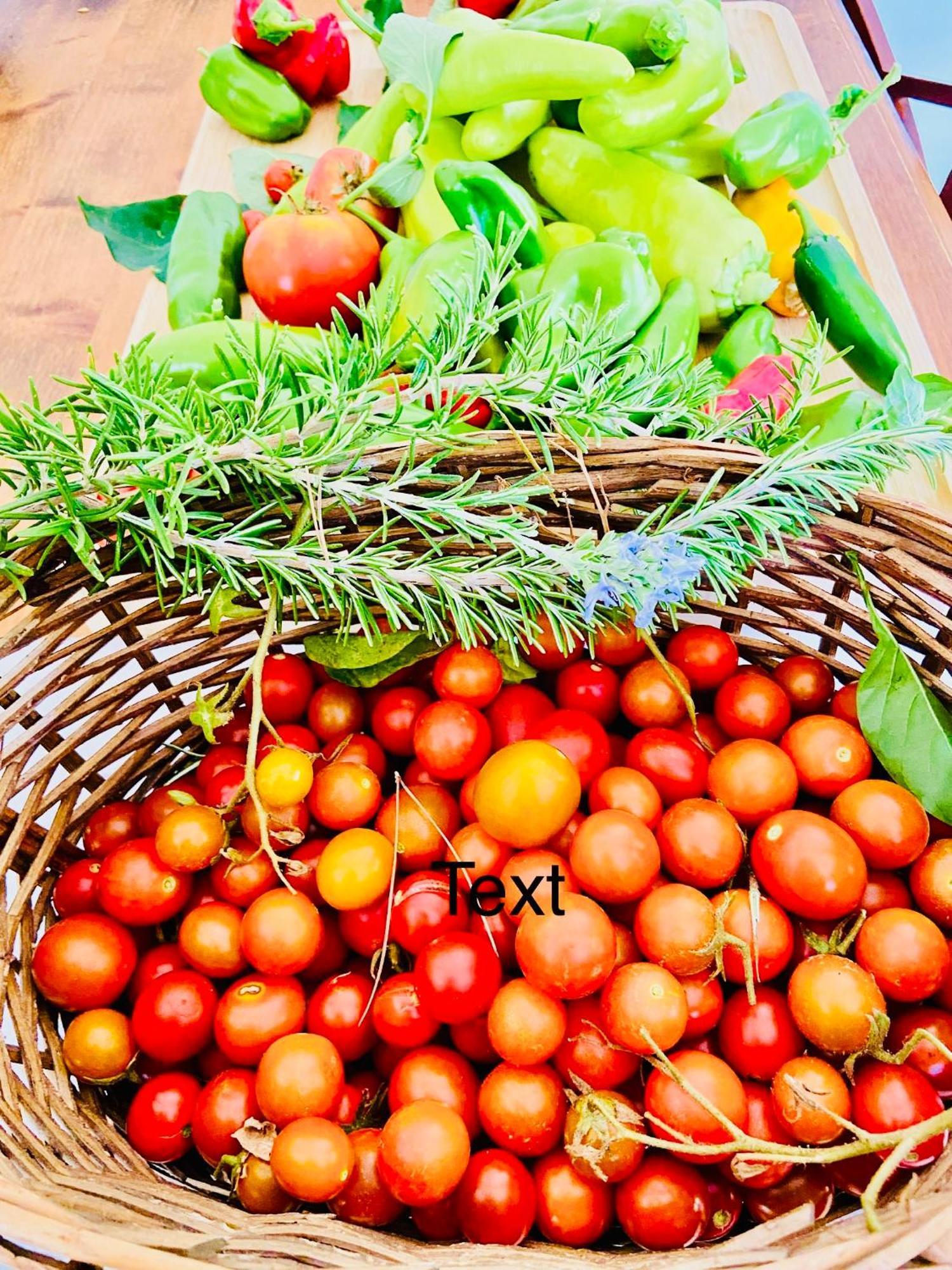 Sa Canova Agroturismo *